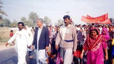 Palijo-Sindh Courier