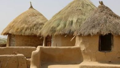 Thar-Chaunra-Homes-Sindh Courier