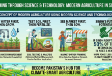 Gemini_Generated_Image_Agriculture-Sindh Courier