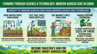 Gemini_Generated_Image_Agriculture-Sindh Courier
