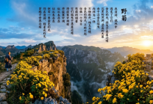 Gemini_Generated_Image_Poetry-China-Sindh Courier