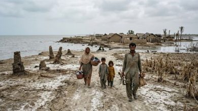 Gemini_Generated_Image_Sindh Coast-Destruction-Sindh Courier