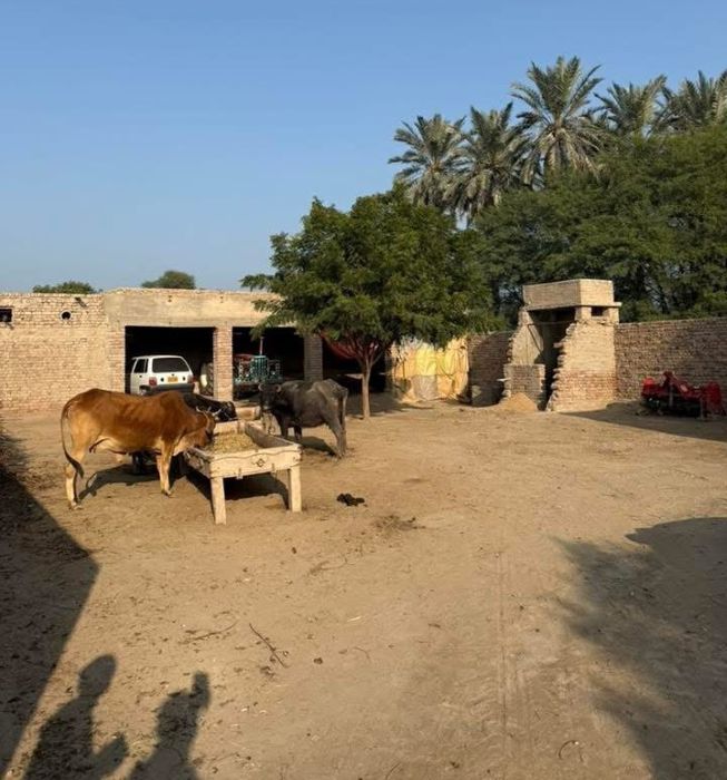 Village-Sindh Courier-1