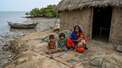 Gemini_Generated_Image_Malnutrition Crisis- Sindh Courier