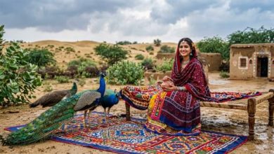 Gemini_Generated_Image_Thar-Peacock-Sindh Courier