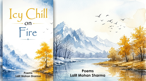Icy Chill-Book-Sindh Courier-AI