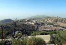 Olive-Tree-Plantation-at-Gorakh-Hill-ordered-Sindh-Courier-1-1024x538
