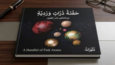Gemini_Generated_Image_Libya-book-Sindh Courier